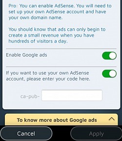 Ja apmeklētāju skaits ir pietiekams, varat monetizēt savu vietni, izmantojot Google Adsense.